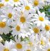 Judy Steinkey - Facebook