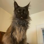 Judy Langley Stembridge - @judystembridge - Instagram