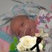 Judy Stepp - Facebook