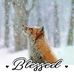 Judy Stepp - Facebook