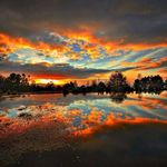 Judy Stepp - @judystepp - Instagram