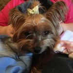 Kimberly Stice judy - @kimberlysticejudy - Instagram