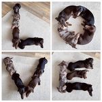 Judy Stillman Fenner - @judystillmanfenner - Instagram