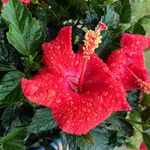 Judy Stillwell Bones - @judy_stillwell_bones - Instagram