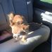 Judy Storey - Facebook