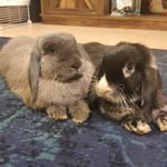 @storm_and_judy_lamalice - Instagram