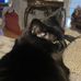 Judy Studyvin - Facebook