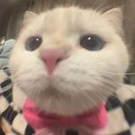 studywth.judy - @studywth.judy - Instagram