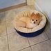 Judith Suggs - Facebook