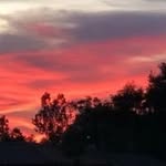 Judy Sutter - @sutter3963 - Instagram