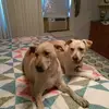 judytealdunlap - @judytealdunlap - TikTok