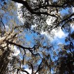 Judy Testa Mulhollan - @mulhollan - Instagram