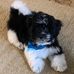 Judy Theis - Facebook