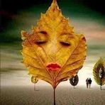 Judith Threadgill - Facebook