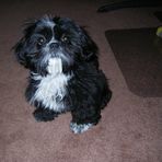 Judy Atchison - Threadgill - Facebook