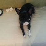 Judy Threadgill - @judythreadgill - Instagram