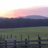 Judy Miller Tinker Belle - @judy.miller.tinke - TikTok