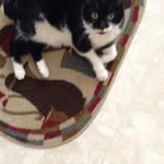 Judy Tinker - @judy.tinker - Instagram