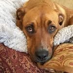 Judy Tremblay - @39labelle - Instagram