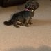 Judy Trimble - Facebook