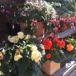 Judy Trimble - @judy.trimble - Instagram