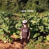 user4225745265718 - @judytuttle1123 - TikTok