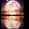 Judith Umstead - @jewelpro0 - TikTok