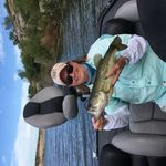 Judy Vick - @mommapuglove - Instagram