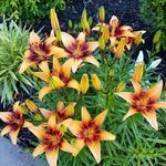 judy vinesett - @vinesettjudy - Instagram