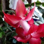 Judy Waid - @judy.waid.58 - Instagram