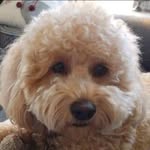 Judy Waldron Cross - @shopgirl1115 - Instagram