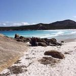 Noel Judy Waldron - @noeljudywaldron - Instagram
