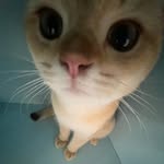 judy.wayne^_^ - @judy.0608 - Instagram