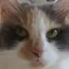 judywelsh09 - @judy03521 - TikTok