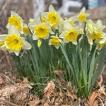 Judy Wheaton - @judy_wheaton - Instagram