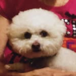 Judy Wheaton - @mzjudy59 - Instagram
