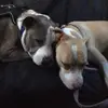 judywheaton816 - @judywheaton816 - TikTok