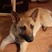 Judy Whitehead - Facebook