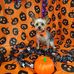 Judy Whitehead - Facebook