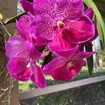 Judy Whitehead Smith - @judysmith109 - Instagram
