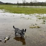 Judy Wicks - @judy.wicks.7 - Instagram