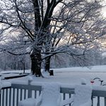 Judy jadwin - @judywiltjadwin - Instagram