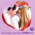 Judy DeMoura Winchell - @judydemoura_winchell - Instagram