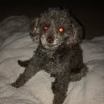 Judy Wisdom - @jabw14 - Instagram