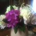 Judy Withrow - Facebook