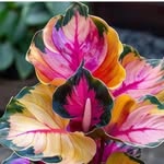 Judy Woosley - @woosley_judy - Instagram