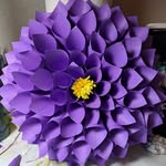 Judy Woosley - @woosleyjudy - Instagram