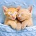Judy Workman - Facebook