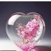 Juhi Rawat - Facebook