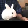 juhirawat - @ju06031994 - TikTok